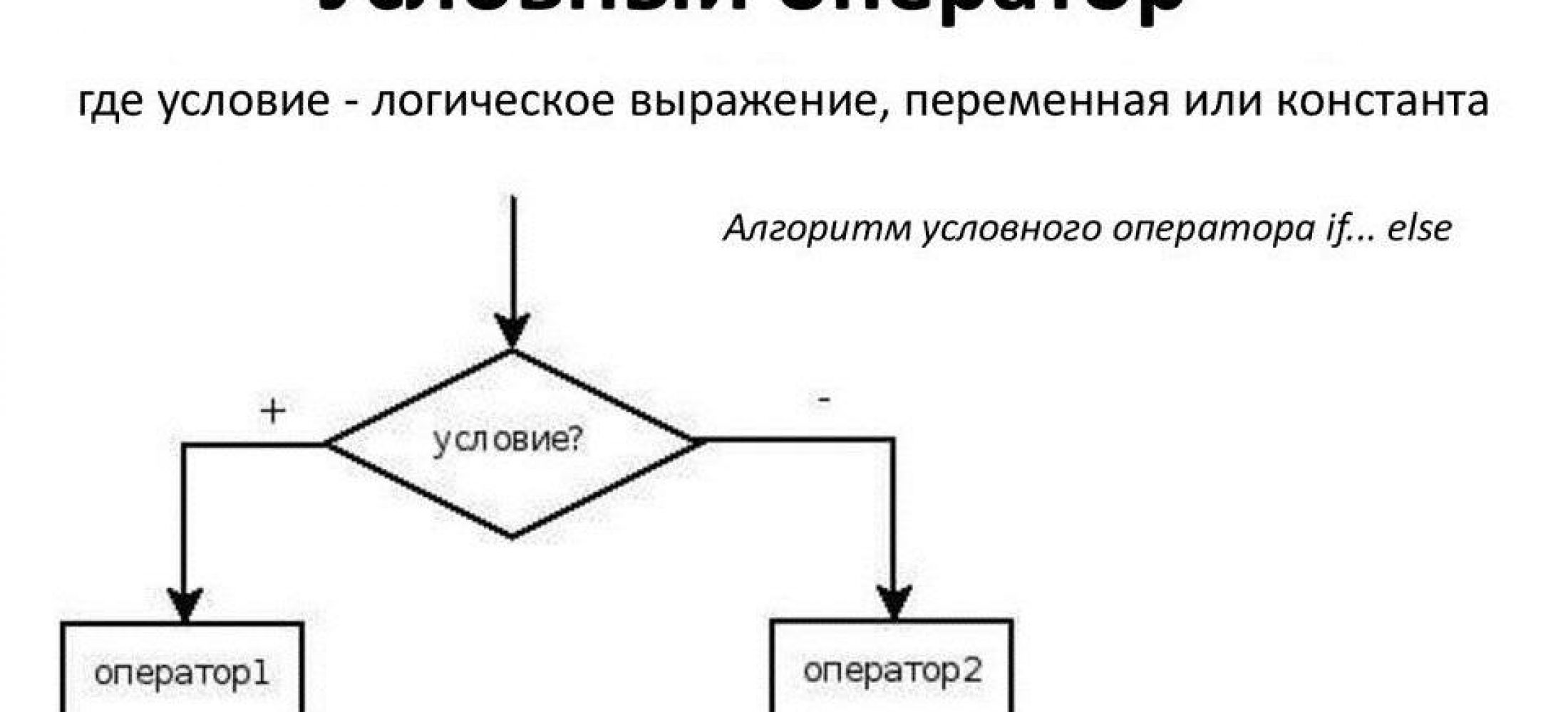 условный оператор ветвление